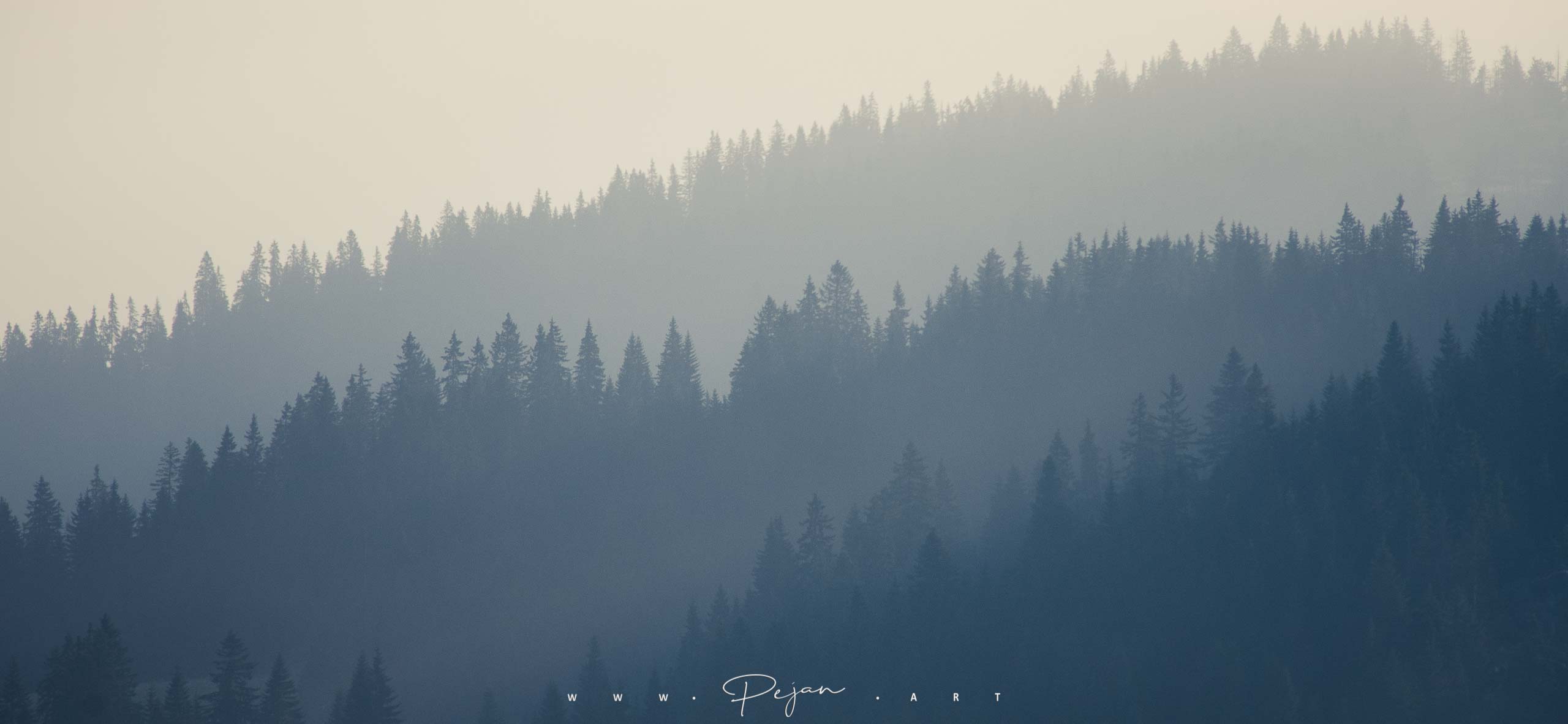 Gradient of blue, view of the mountain forests between Montenegro and Kosovo. Silhouettes of fir trees in the mist.