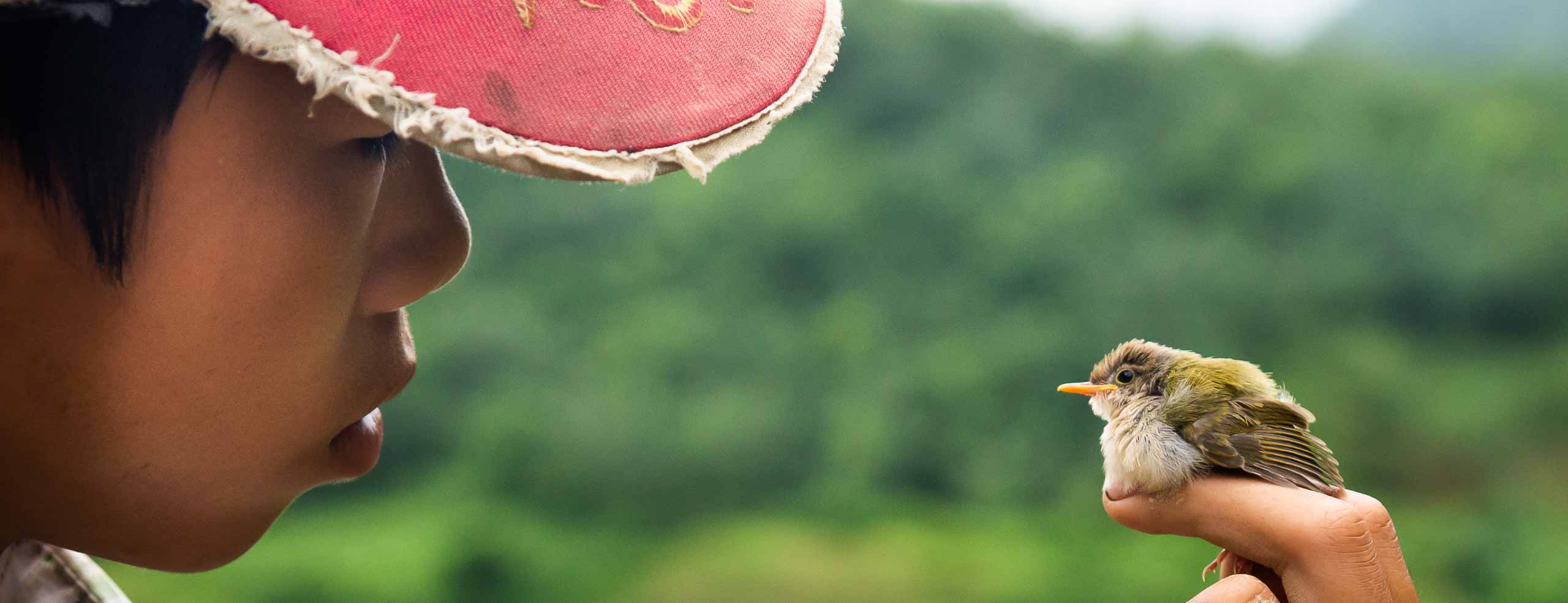 Le garçon et l'oiseau - Portrait d'un garçon qui fixe un oisillon qu'il tient sur sa main, au Nord du Vietnam