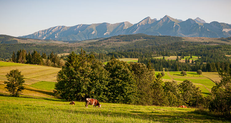 Paysage de montagne dans le sud de la Pologne, vue sur le massif des Tatras. De l'autre côté des montagnes se trouve la Slovaquie, Europe Centrale.