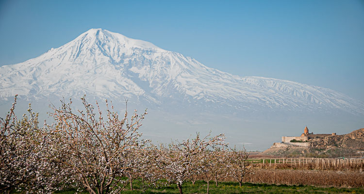 Mont Ararat vu depuis l'Arménie, près du monastère de Khor Virap, Au Sud de Yerevan