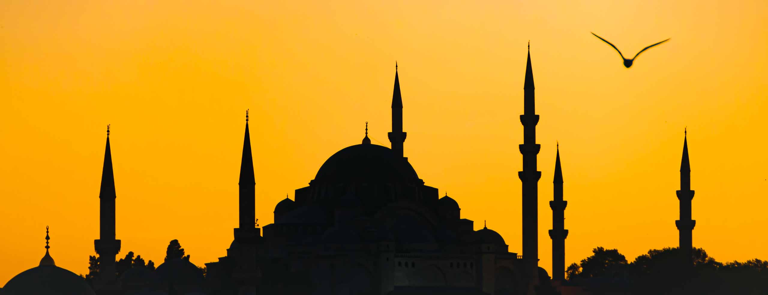 Silhouette des minarets et mosquées d'Istanbul pendant le coucher de soleil, la silhouette d'une mouette vole dans un ciel orangé