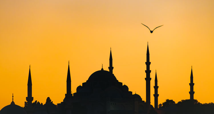 Silhouette des minarets et mosquées d'Istanbul pendant le coucher de soleil, les contours d'une mouette vole dans un ciel orangé