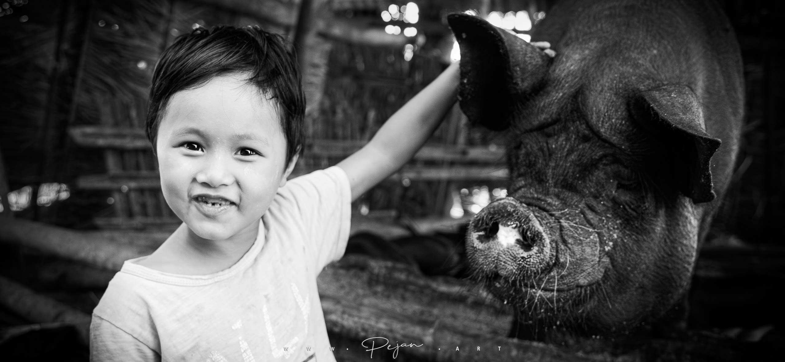 Black and white portrait of a little girl stroking a big Asian pig. She looks at the camera. Inle Lake, Myanmar